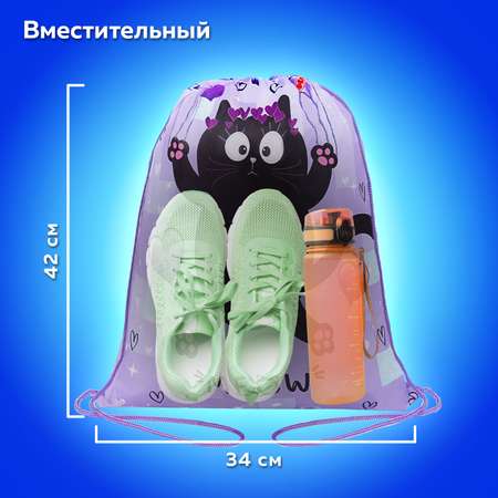 Мешок для обуви Пифагор