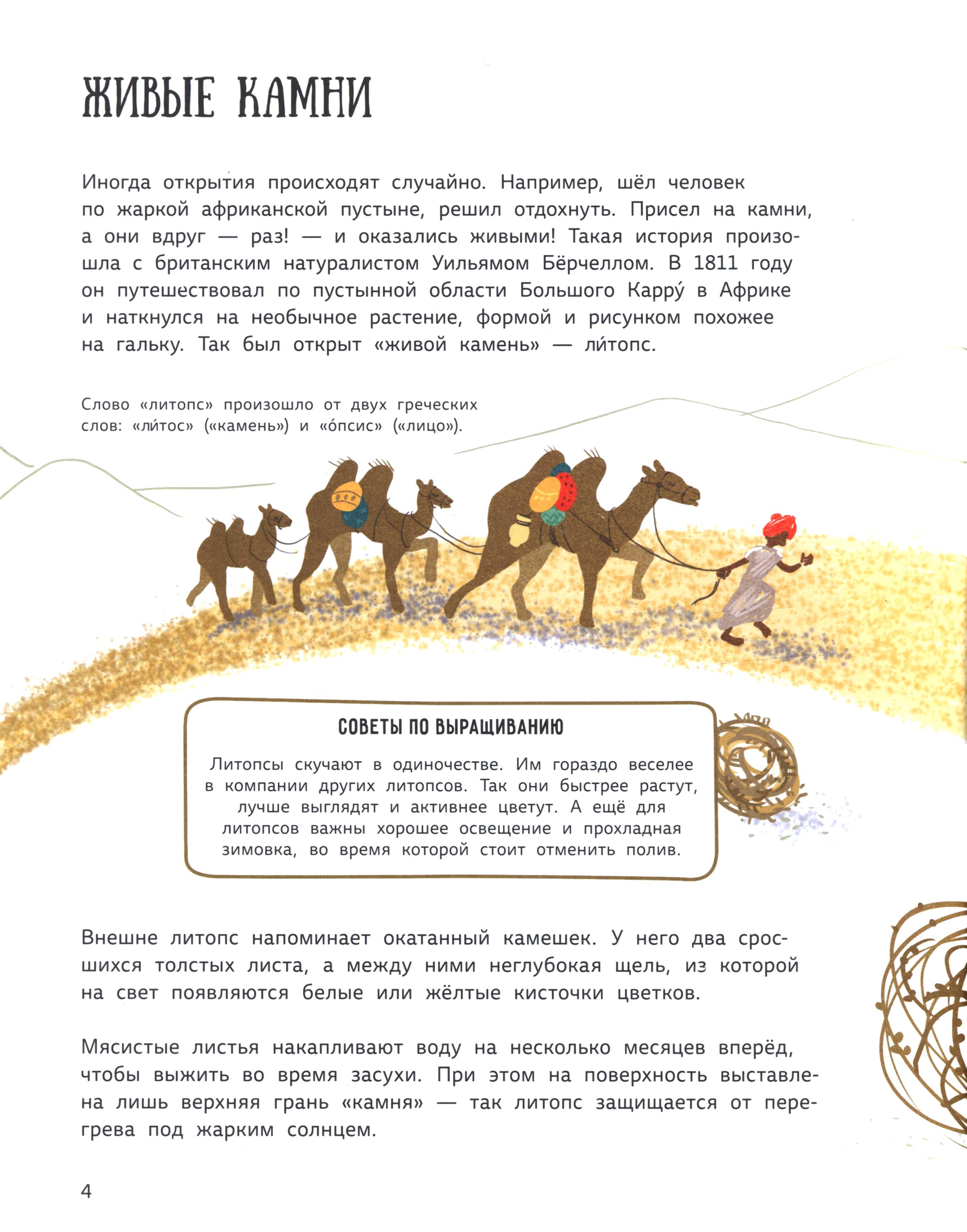 Книга Абраказябра Растения-чудаки 30 самых необычных растений - фото 5
