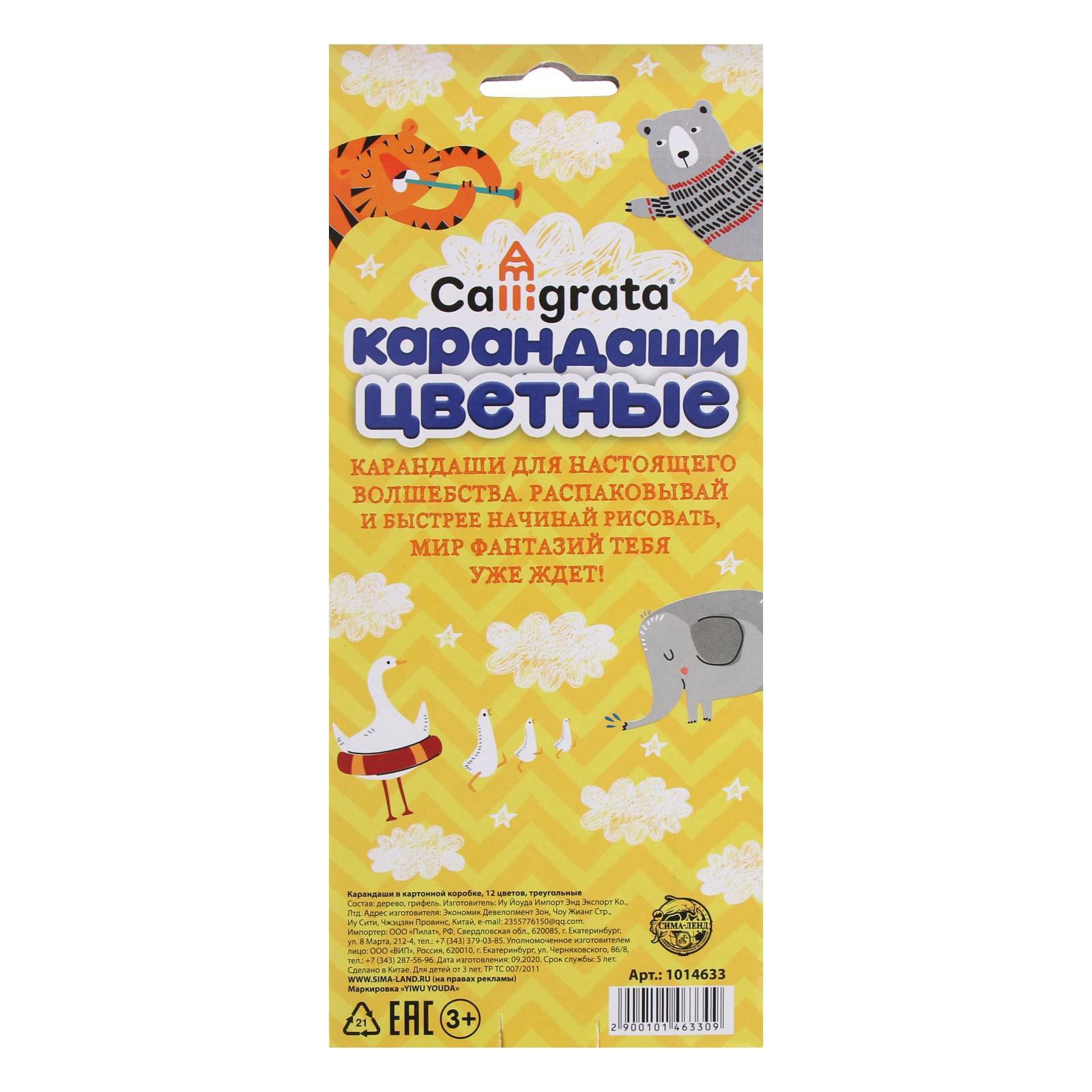 Карандаши Calligrata - фото 12