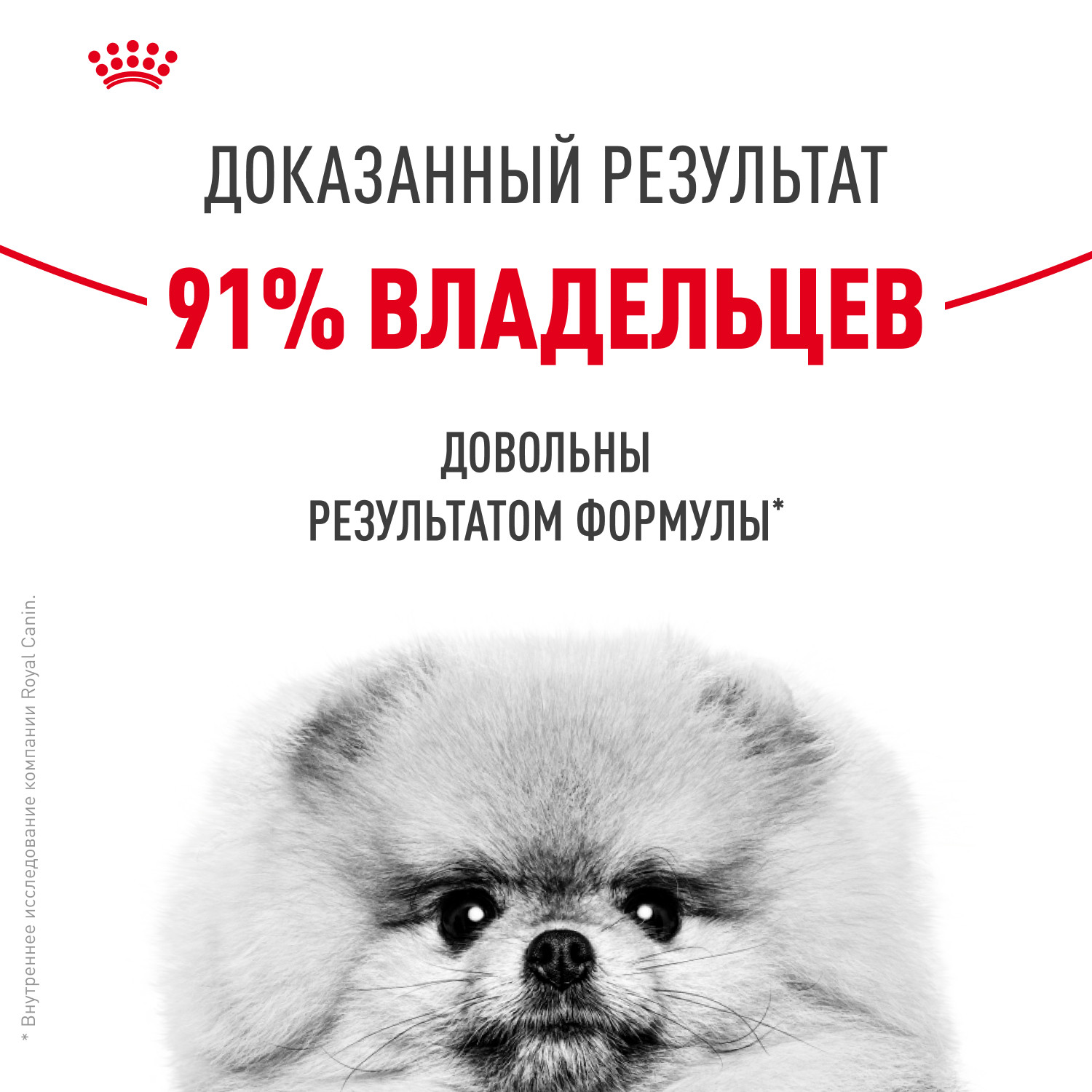 Корм для собак ROYAL CANIN Mini Dermacomfort при раздраженной и зудящей коже 3кг - фото 4