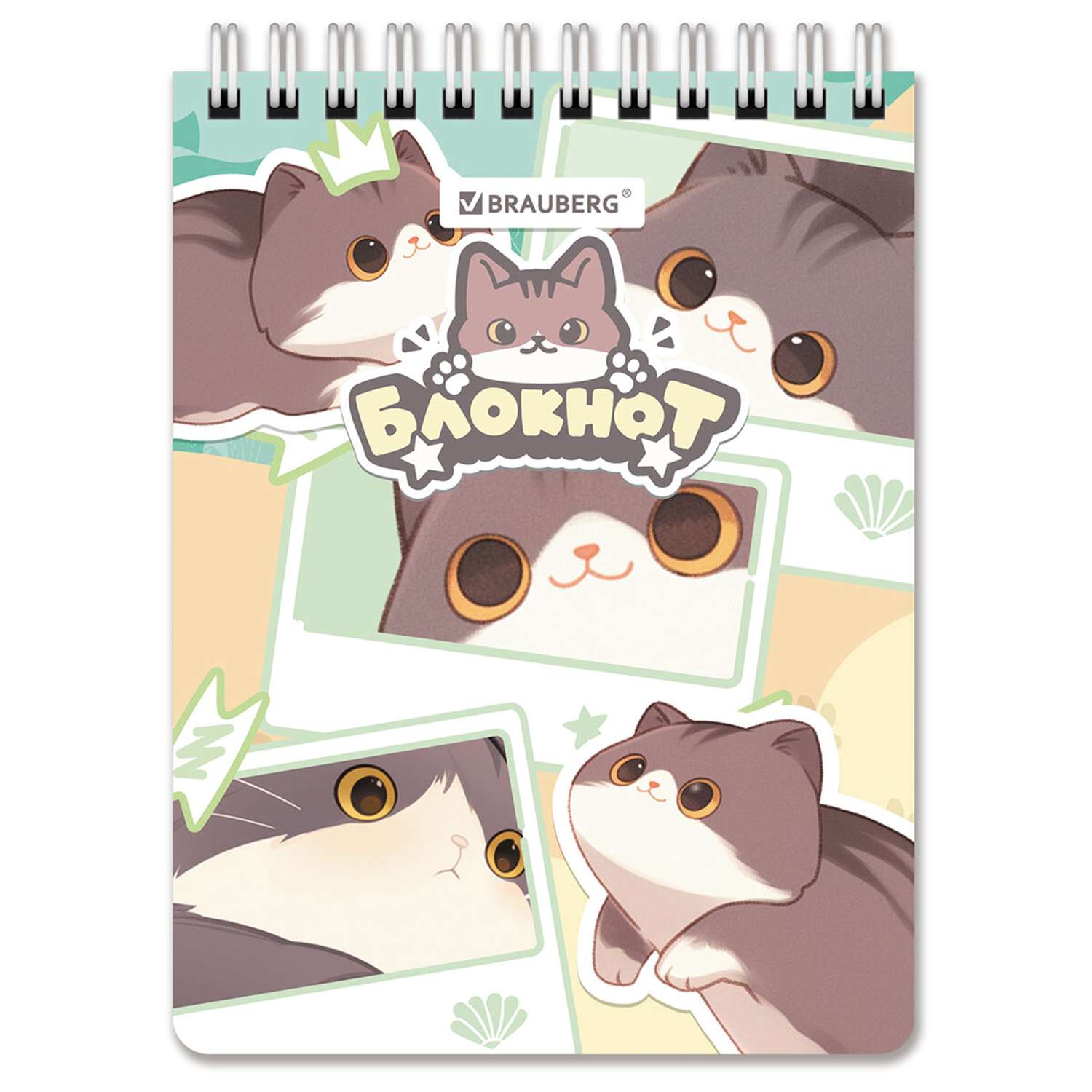 Блокнот Brauberg Милые коты А6 60 лист. в ассортименте - фото 4