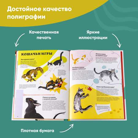 Книга Альпина. Дети Секреты кошек