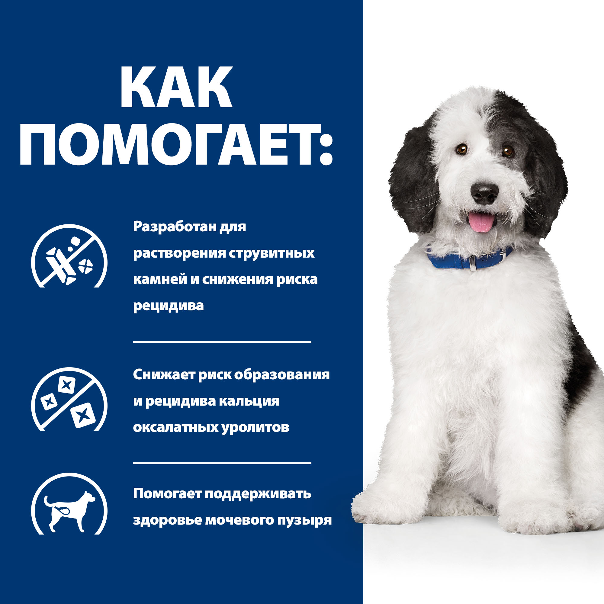 Корм для собак HILLS 1.5кг Prescription Diet c/d Multicare Urinary Care при профилактике мочекаменной болезни с курицей сухой - фото 5