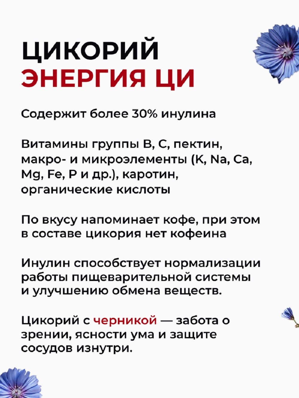 Цикорий Энергия Ци растворимый порошок с черникой - фото 4