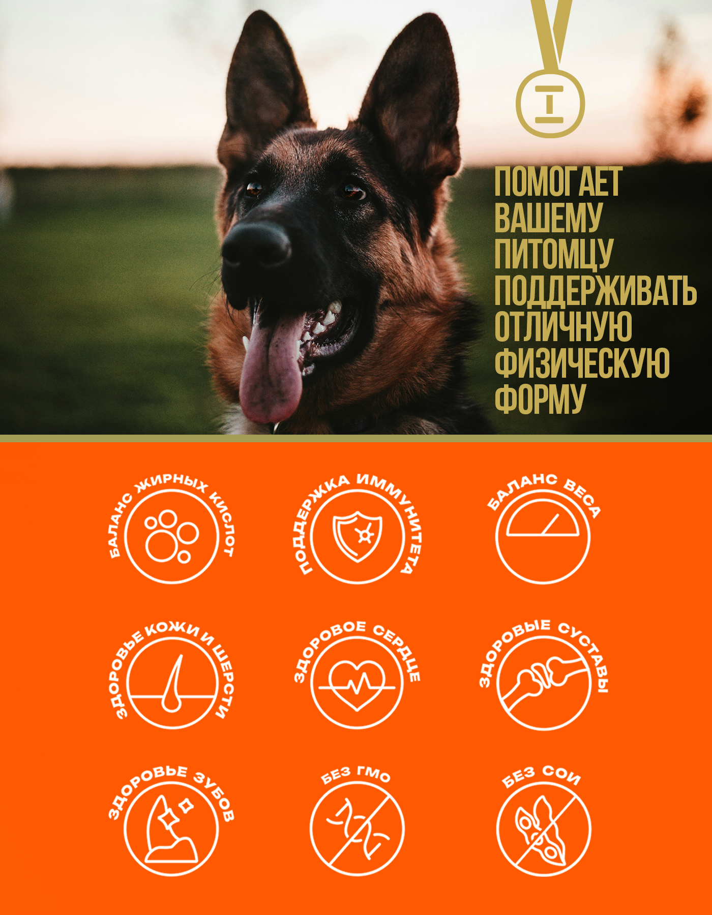 Сухой корм Profifeed Для собак крупных пород 2,2кг - фото 5