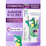 Зубная паста STOMATOL с фтором Ежевик 75 г