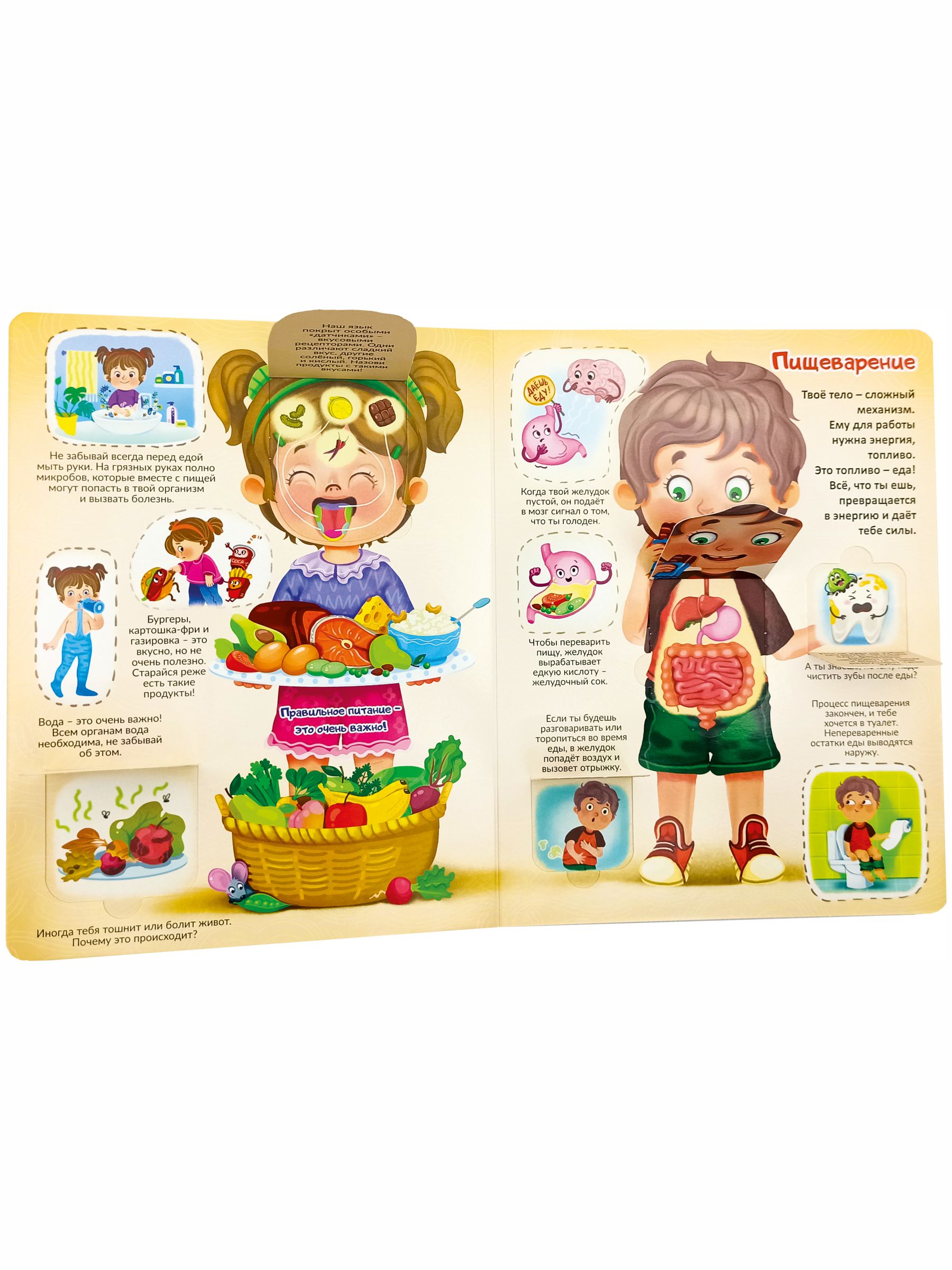 Книжка для малышей BimBiMon с окошками. Моя первая анатомия Виммельбух - фото 13