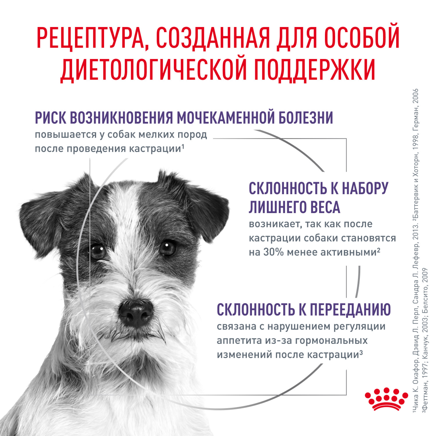 Корм для собак ROYAL CANIN Neutered Adult кастрированных средних пород 3.5кг - фото 2