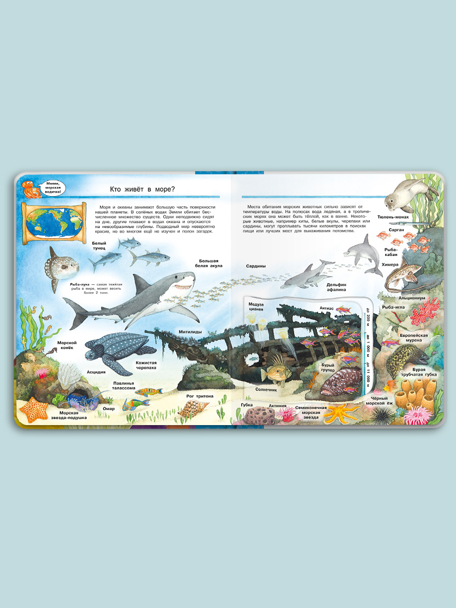 Книга Омега-Пресс Энциклопедия для детей с окошками Мир морских животных - фото 3