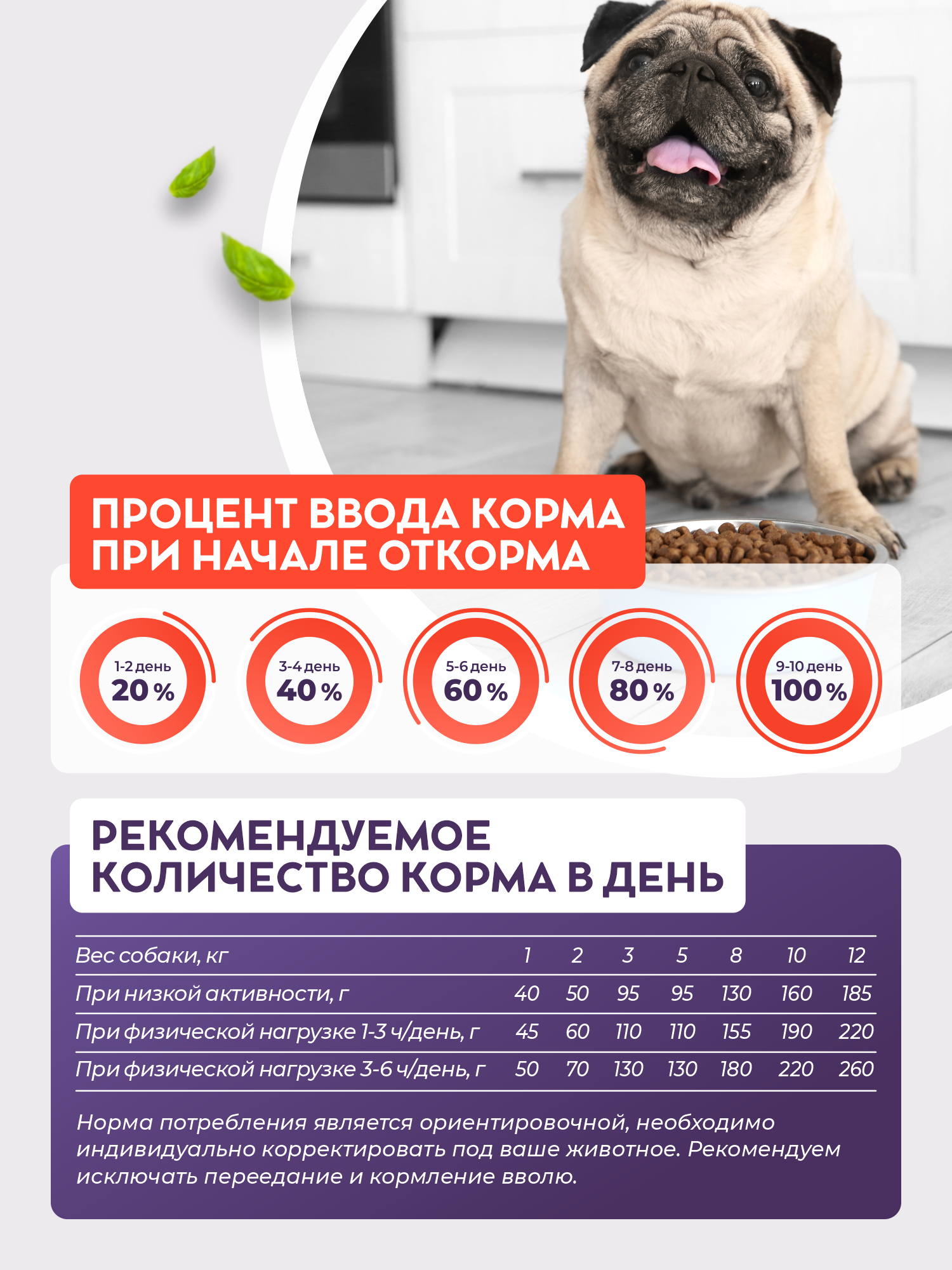 Сухой корм для собак GRANDHOLI Для мелких пород Говядина с овощами 1,5 кг - фото 9
