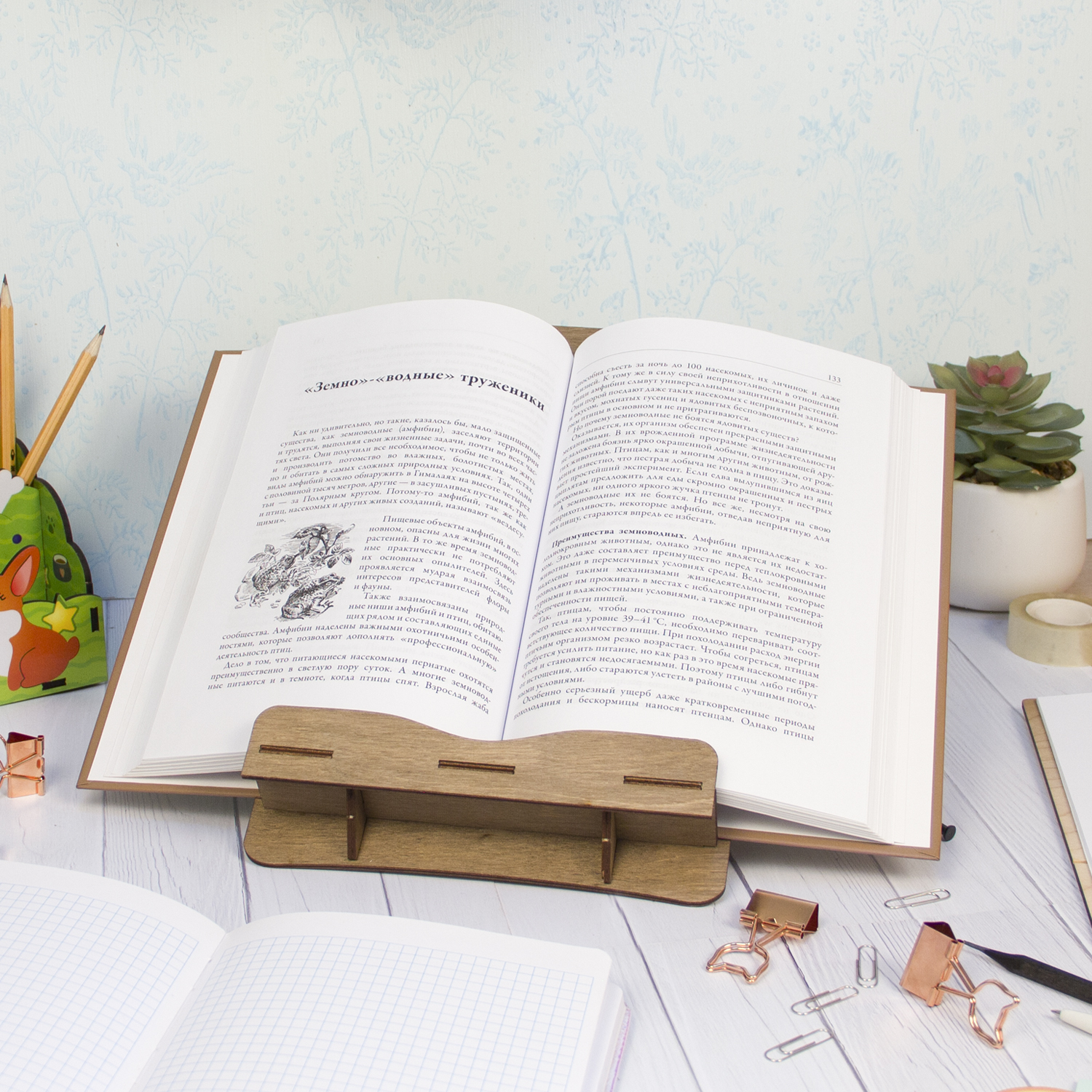 Подставка для книг Символик - фото 6