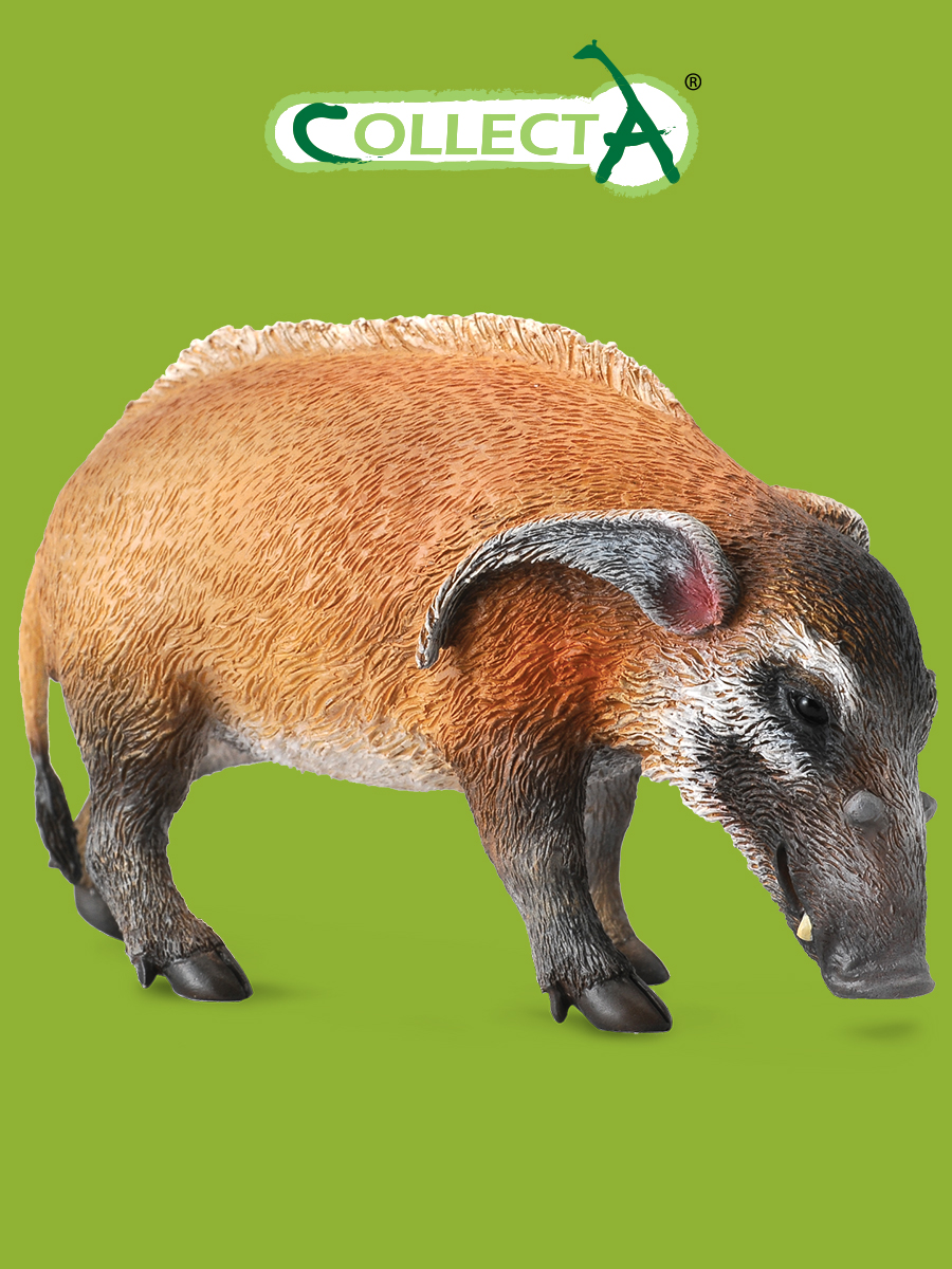 Фигурка Collecta Дикий кабан - фото 1
