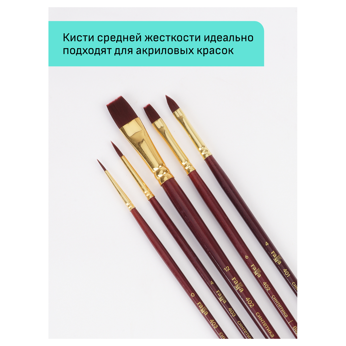 Кисть Гаммa 5 шт. (синтетика) - фото 4