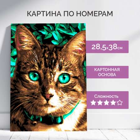 Картина по номерам LORI(колорит) Изумрудные глаза