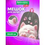 Мешок для обуви Brauberg кот-мурлыка