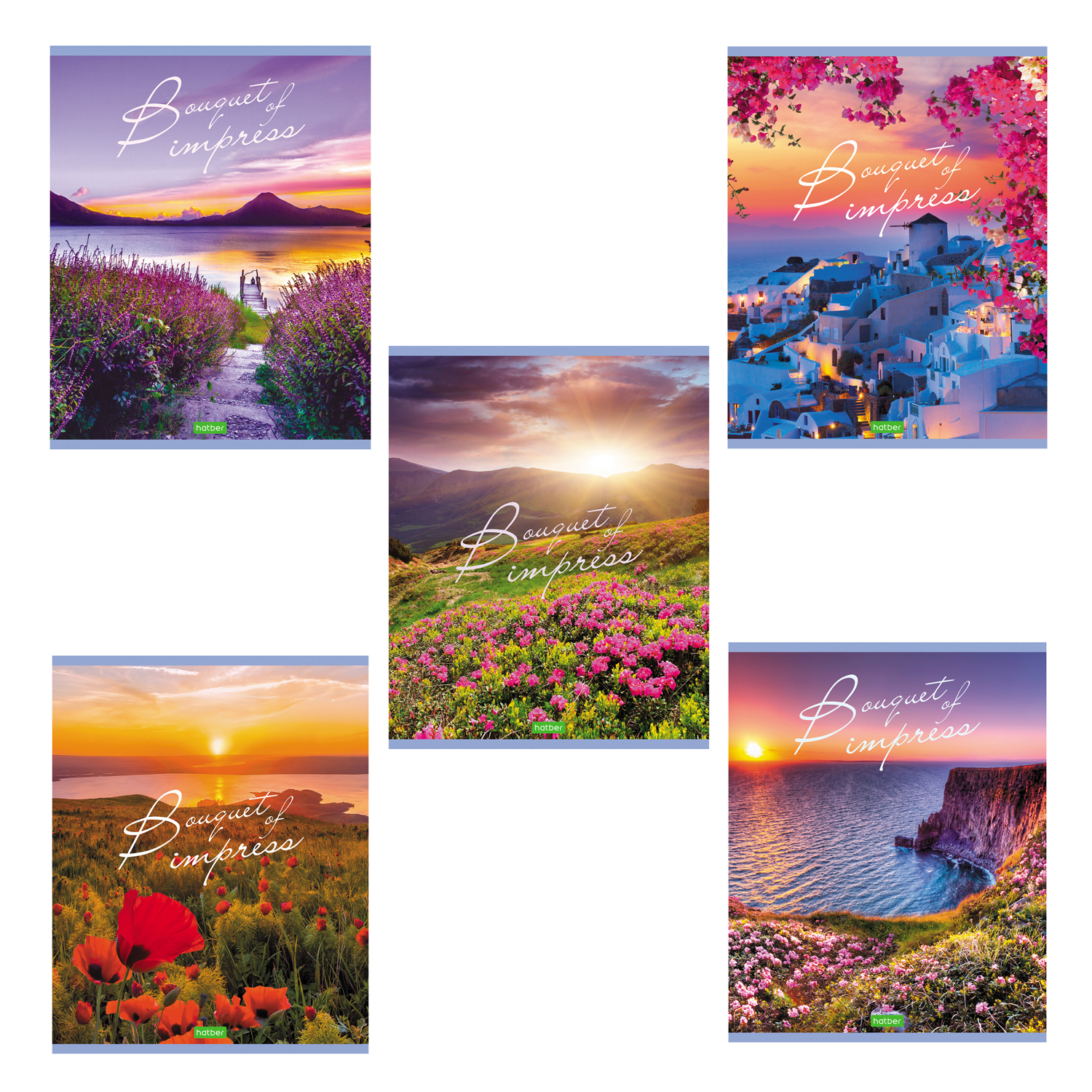 Изображение товара Общая тетрадь Hatber клетка 48 лист. в ассортименте