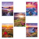 Общая тетрадь Hatber клетка 48 лист. в ассортименте