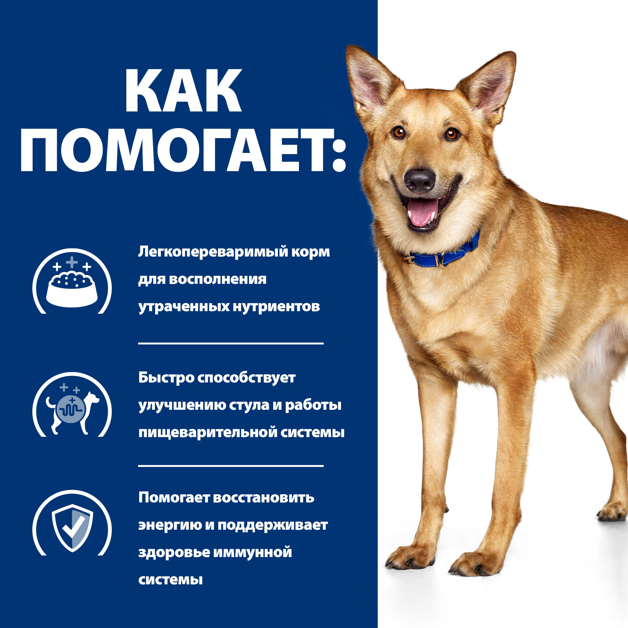 Корм для собак HILLS 200г Prescription Diet i/d при расстройствах пищеварения ЖКТ диетические консервы с индейкой - фото 5