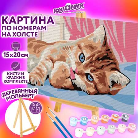 Картина по номерам Юнландия