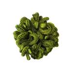 Резинка Ripoma