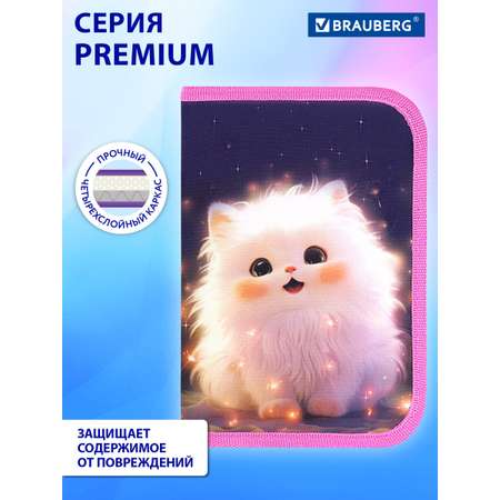 Пенал Brauberg