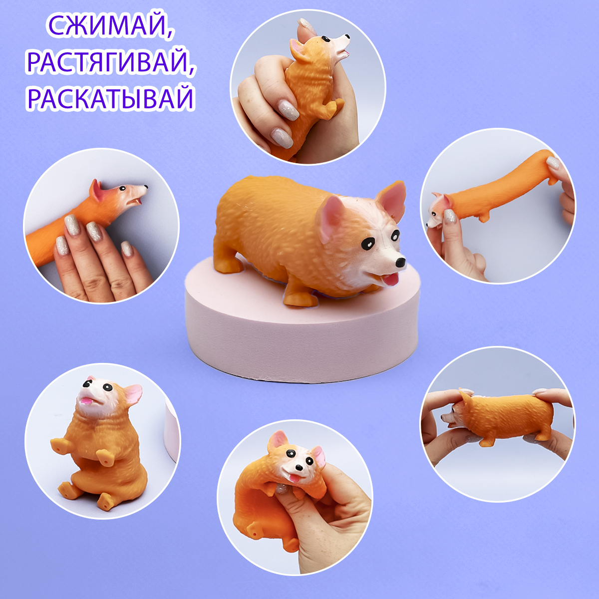 Сквиш ЭВРИКА - фото 4