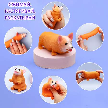Сквиш ЭВРИКА