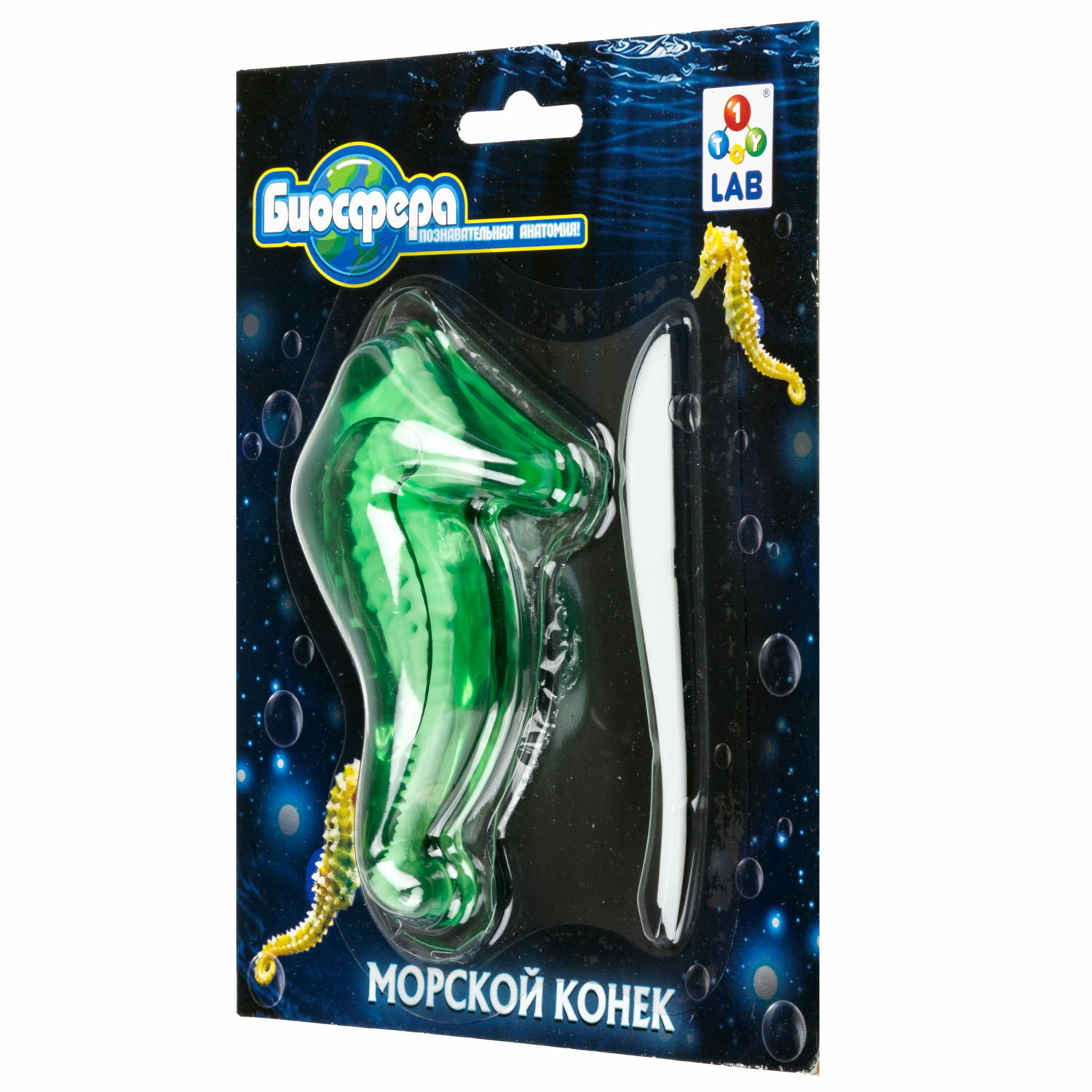 Набор для опытов 1TOY Морской конек - фото 5