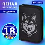 Пенал Brauberg