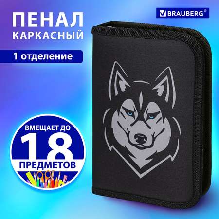 Пенал Brauberg