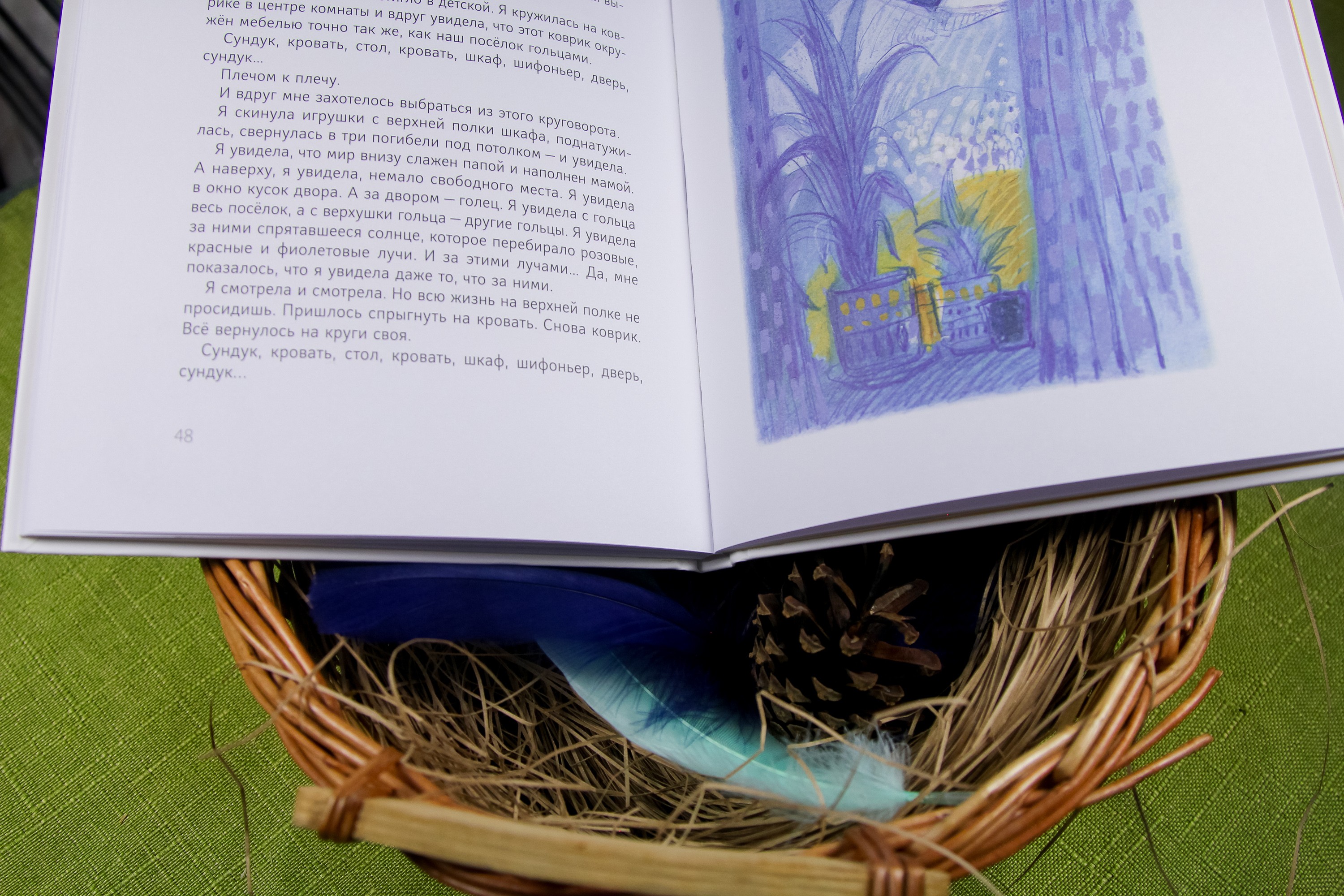 Книга Волчок Кедровый слоник - фото 9