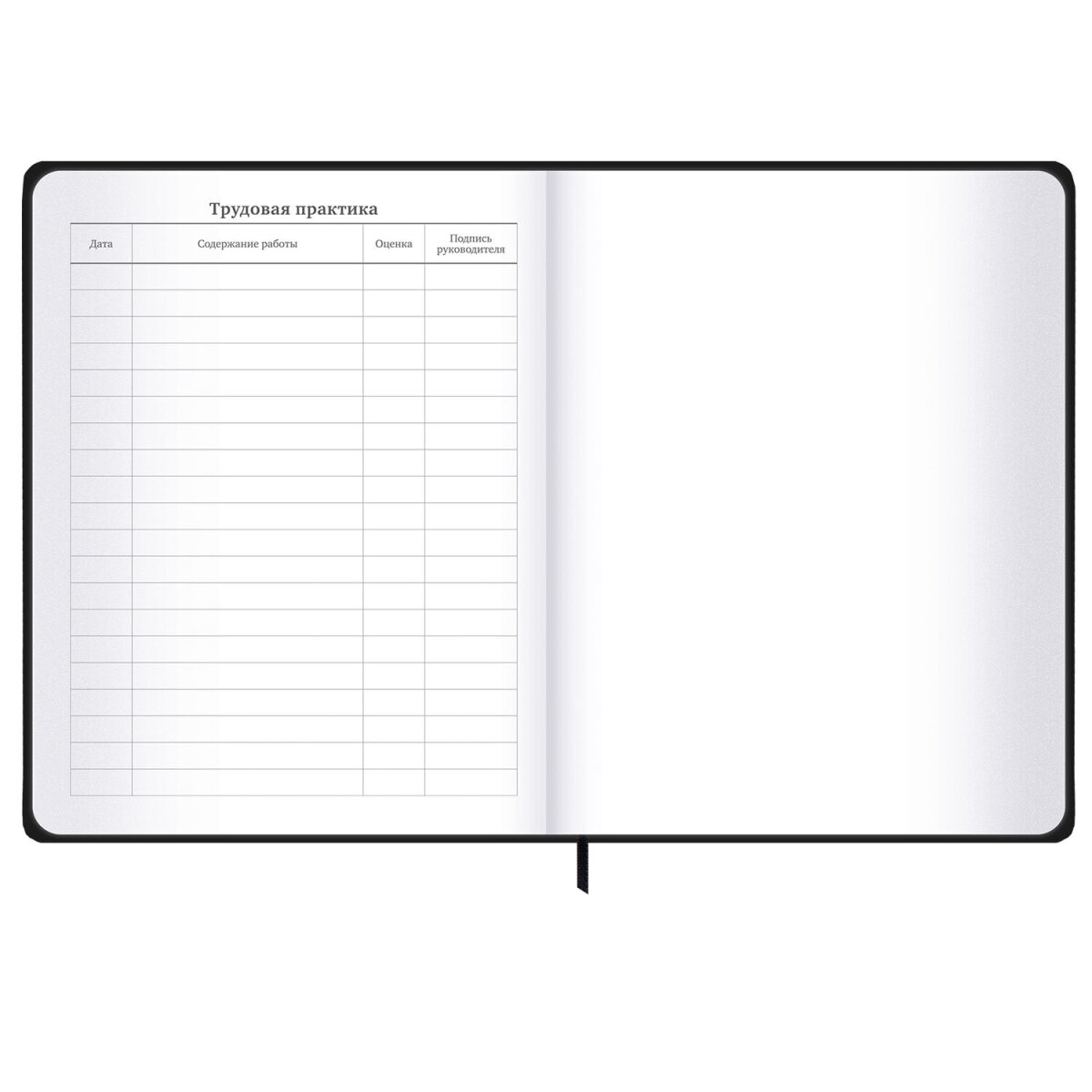 Дневник школьный Brauberg для девочек мальчика 1-11 класс - фото 19