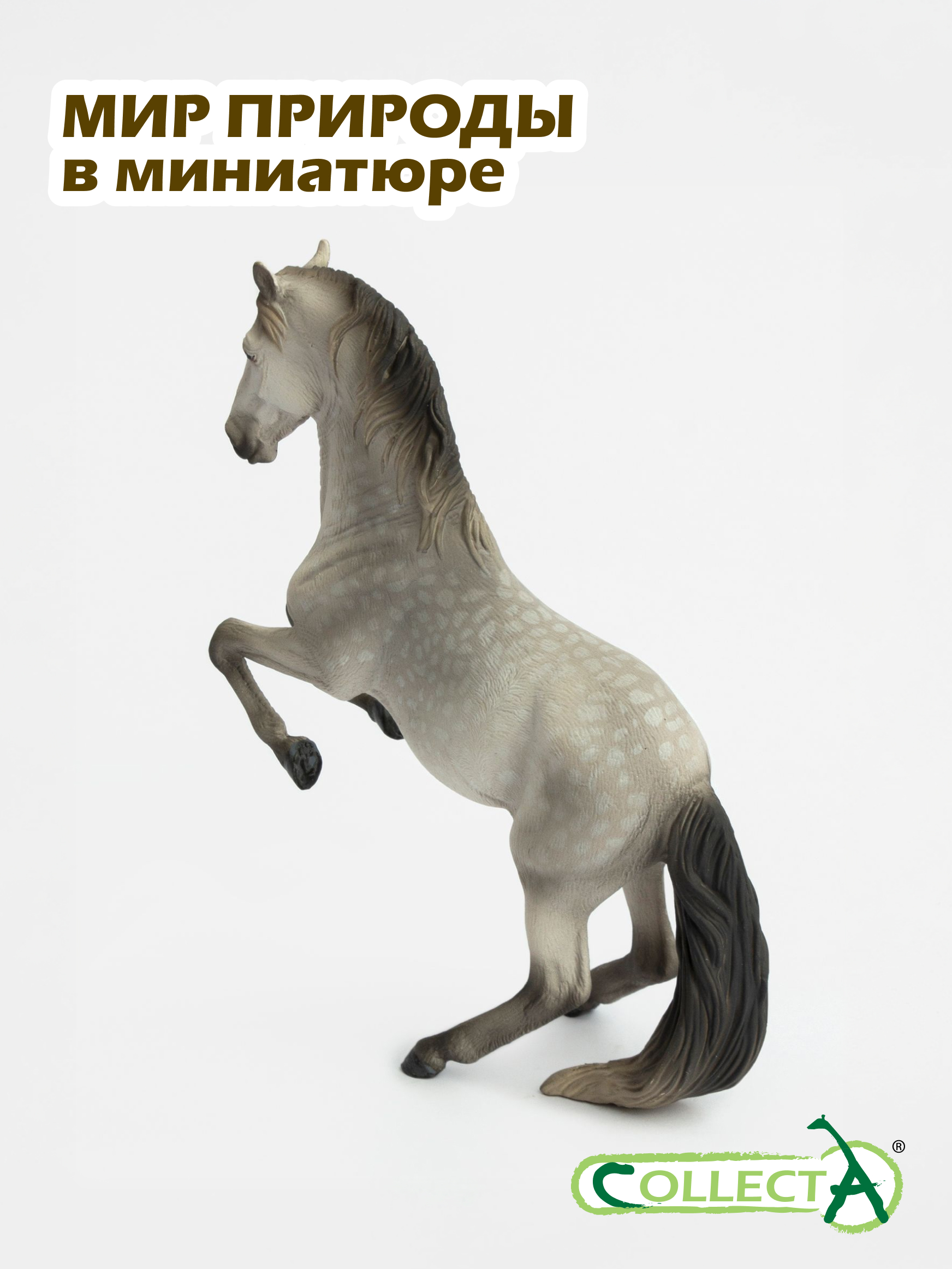Фигурка Collecta Серый Липицианский жеребец - фото 7