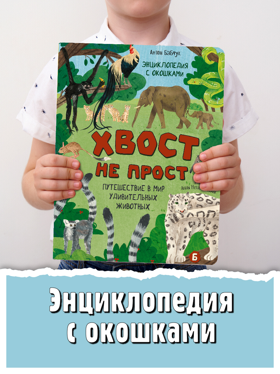 Энциклопедия с окошками БимБиМон Книга детская энциклопедия с окошками Виммельбух - фото 1