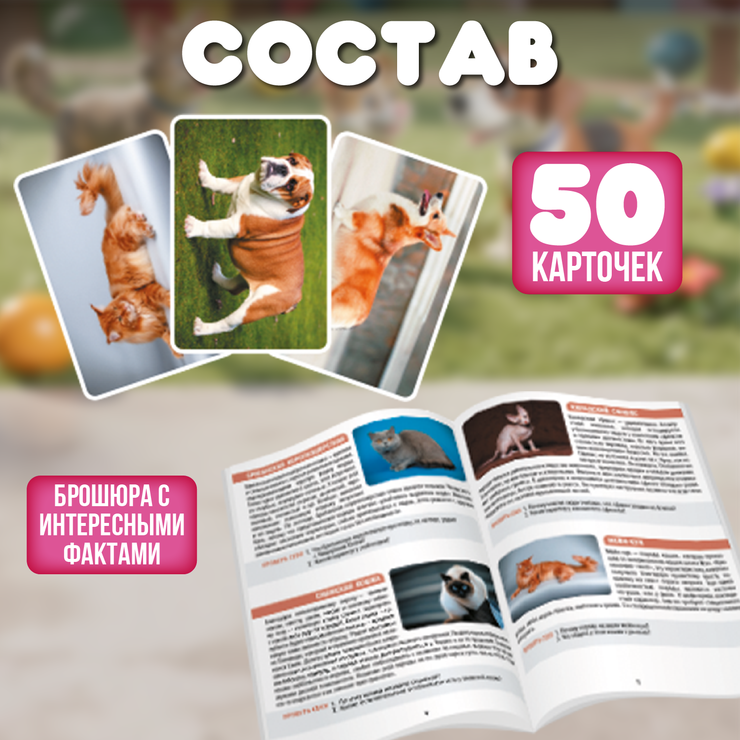 Настольная игра Attivio Мемори Кошки и собаки - фото 3