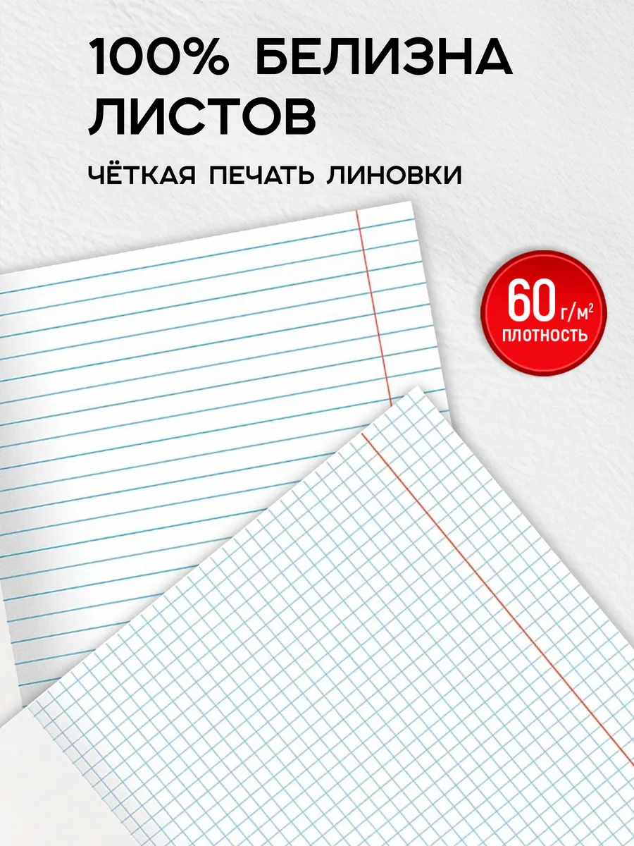 Тетрадь Prof-Press 24 лист. 10 шт. (Иностранный язык, Биология, История, Русский язык, Литература, Алгебра, Информатика) - фото 5