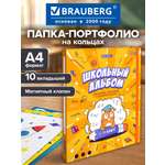 Папка-портфолио Brauberg А4