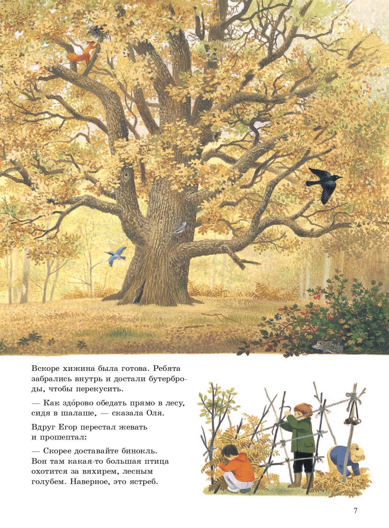 Книга Добрая книга Наше дерево. Иллюстрации Герды Мюллер - фото 9
