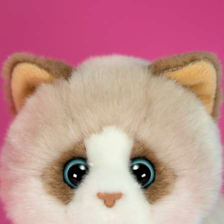 Игрушка мягкая Trudi котик Брэд