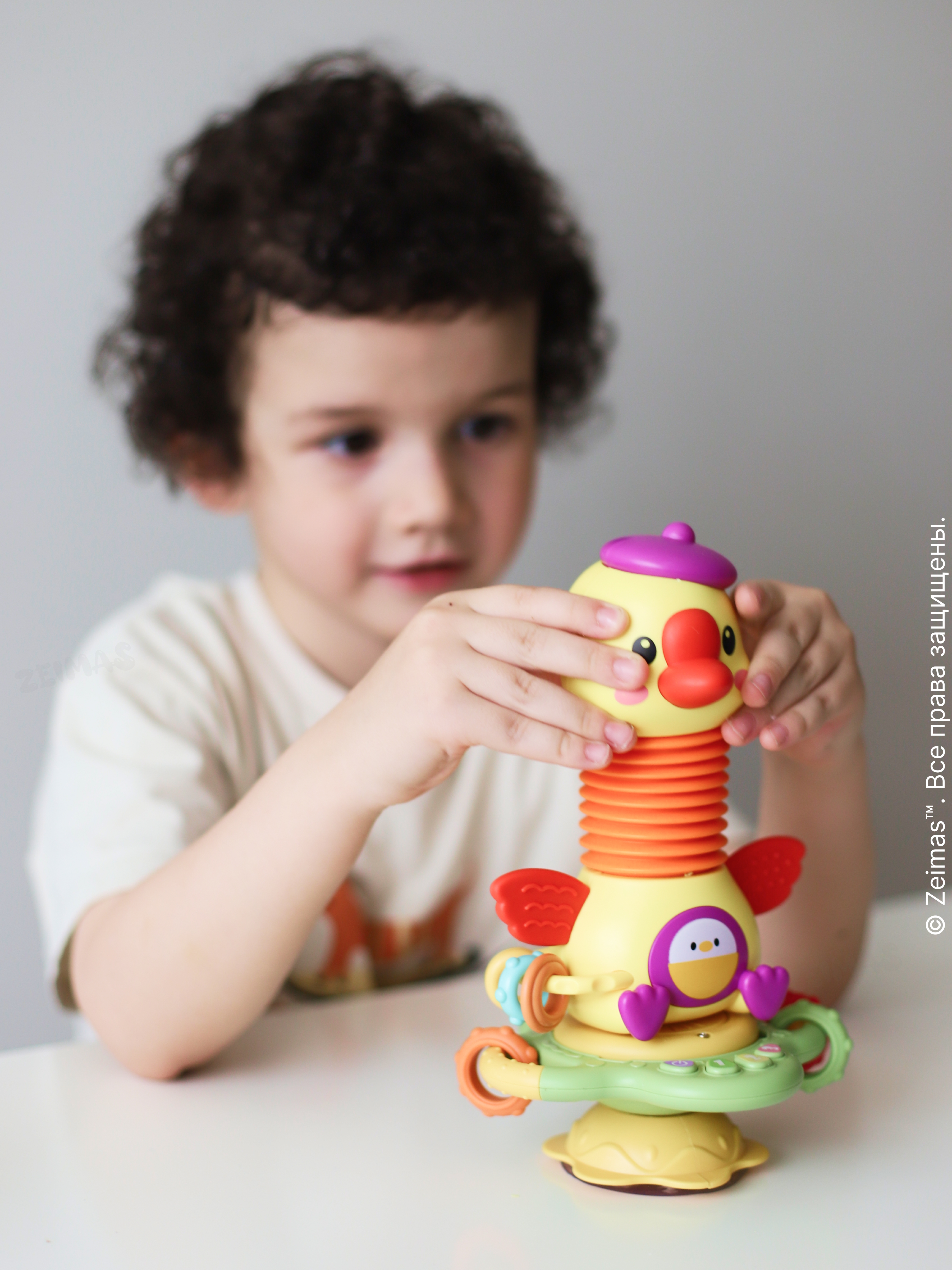 Игрушка Zeimas Музыкальная игрушка в ассортименте - фото 17