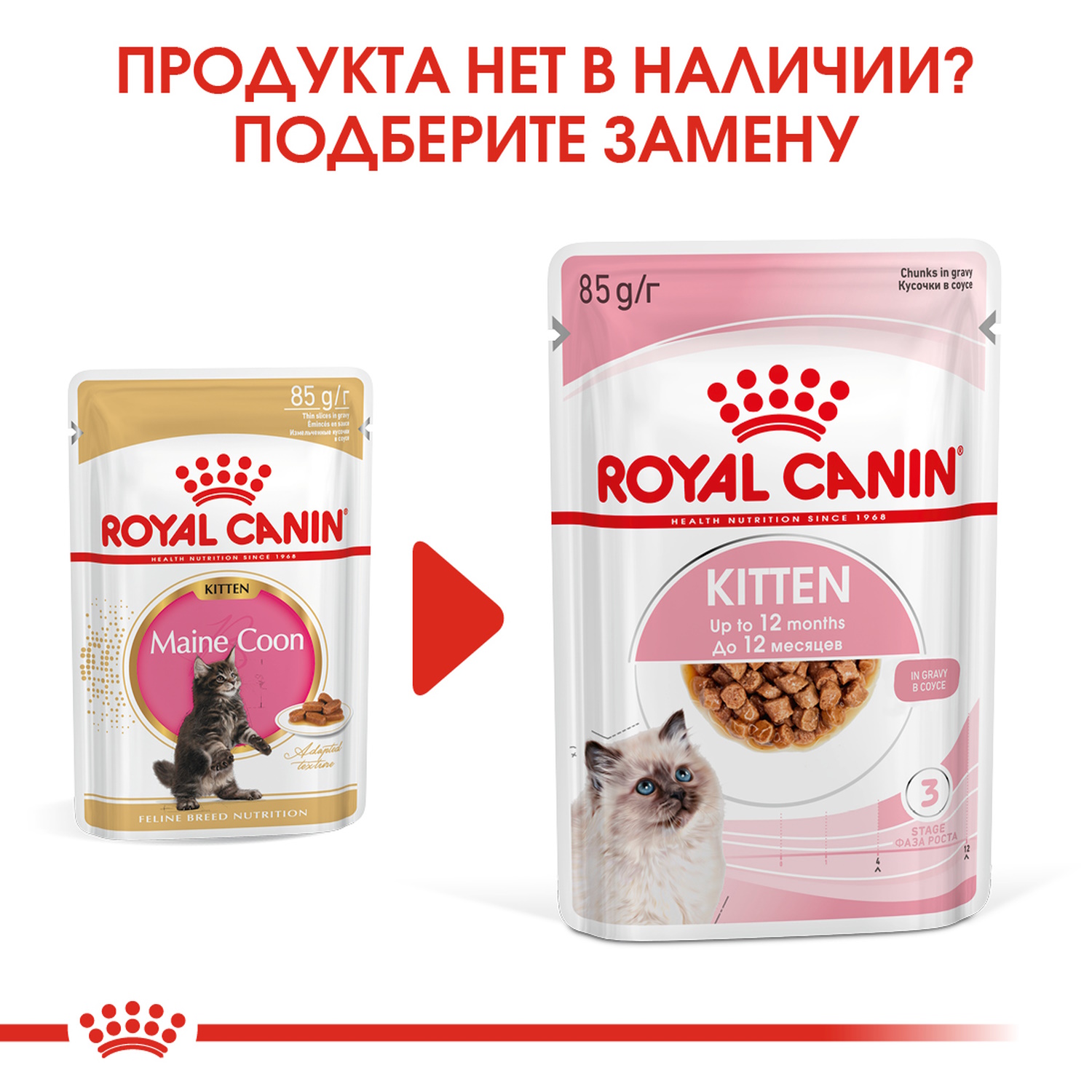 Корм влажный для котят ROYAL CANIN Kitten Maine Coon 85г соус пауч - фото 4