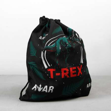Мешок для обуви ArtFox T-REX