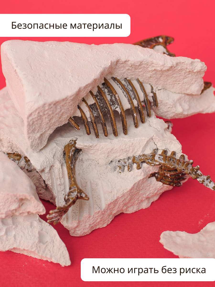 Набор для раскопок KONIK Science - фото 11