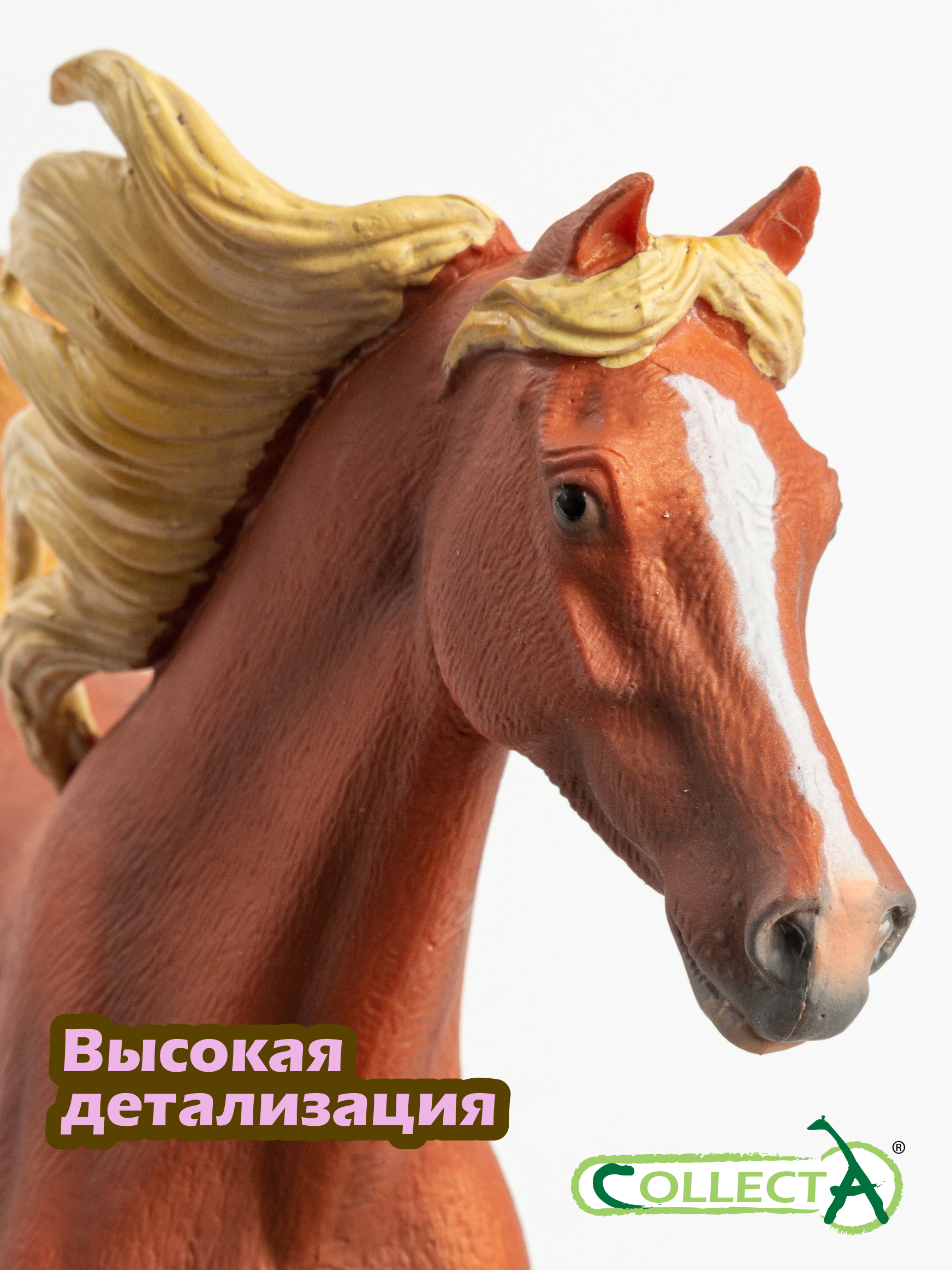 Фигурка Collecta Жеребец Арабский - фото 4