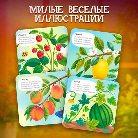 Книжка-раскладушка Сад