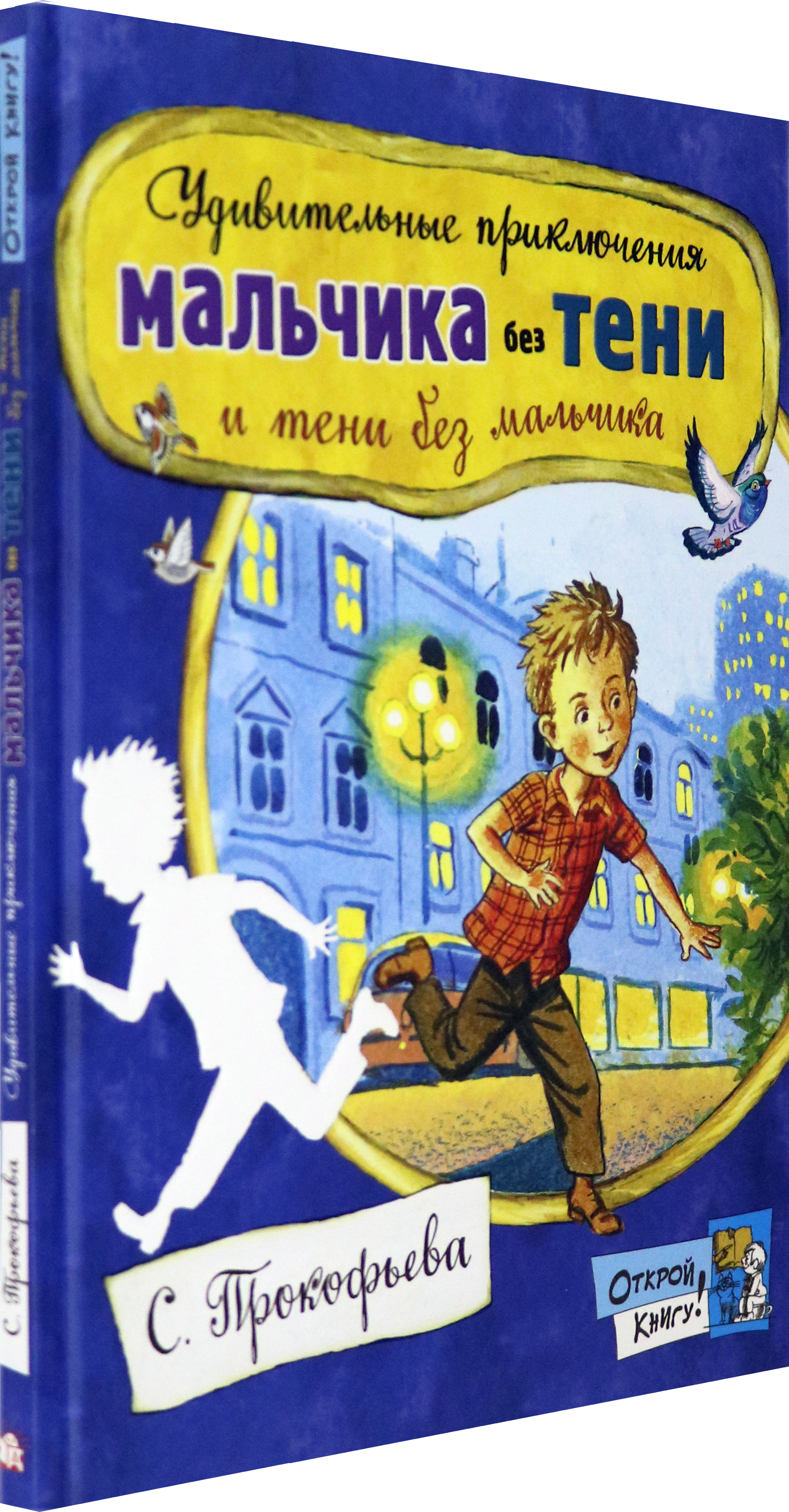 Книга Лабиринт Удивительные приключения мальчика без тени - фото 2