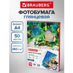 Фотобумага Brauberg глянцевая для печати фото 50 листов А4
