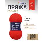 Пряжа Astra Premium Галатея акриловая 100 г 250 м 03 красный 3 мотка