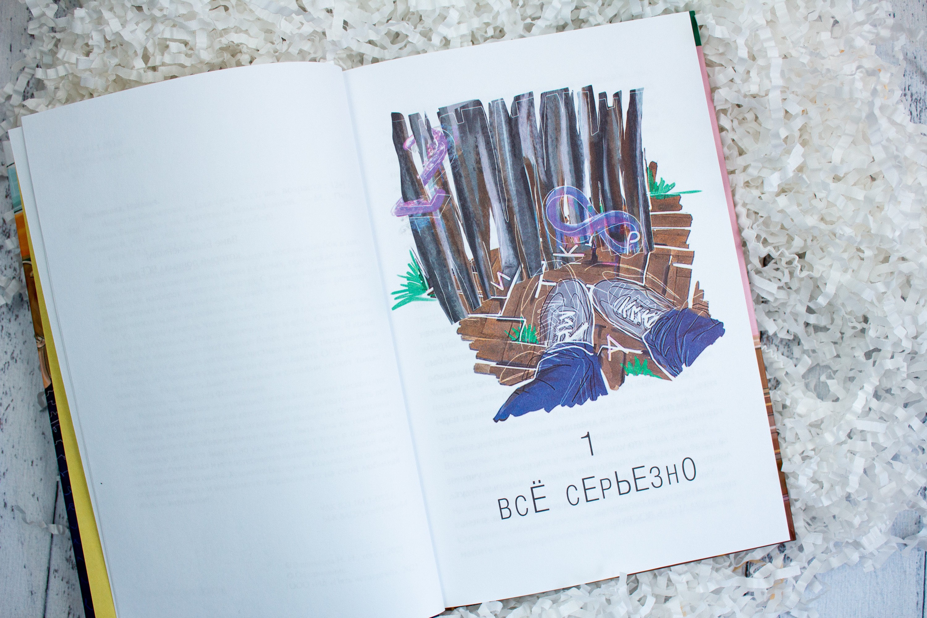 Книга Пять четвертей Виолетта Фиолетовна - фото 3