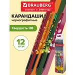 Карандаши чернографитные Brauberg 12 шт.